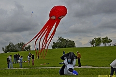 Venice kite festival_0379